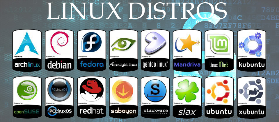 Linux os Distro